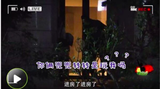 李沁_体育明星|她男友到底是谁啊…