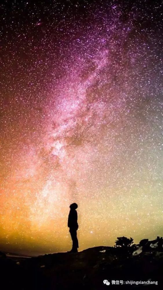 徐志摩|【夜读】未来，要记得谢谢你自己，无所畏惧的从未放弃