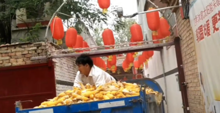 朱之文|不忘初心！农民歌手大衣哥再次回家秋收，成名十年从未想过离开