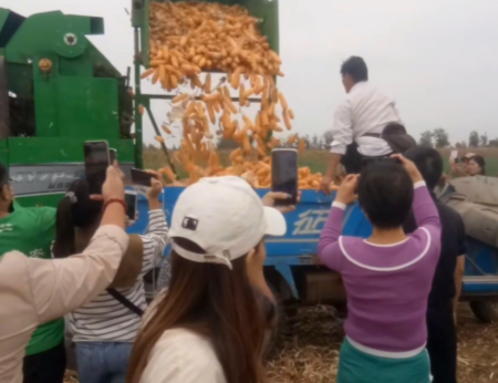 朱之文|不忘初心！农民歌手大衣哥再次回家秋收，成名十年从未想过离开