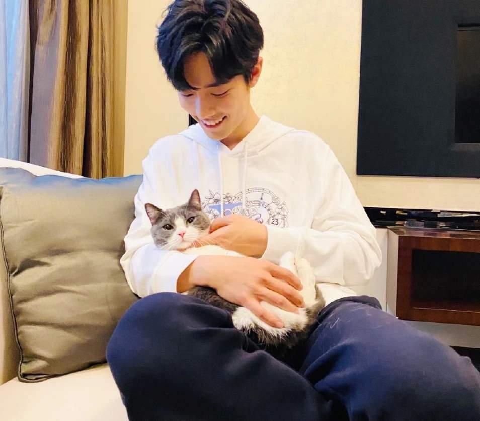 张艺兴|肖战、张艺兴突然互关，被曝出好消息，将合作参加《我们的歌》第二季