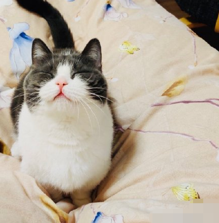 张艺兴|肖战、张艺兴突然互关，被曝出好消息，将合作参加《我们的歌》第二季