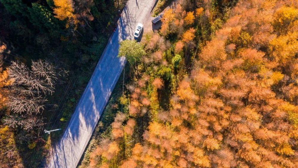 驾车穿梭于209国道建始段车窗外群山林立,林海环绕在黄色,绿色,红色的