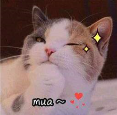 唐太宗李世民|景甜范冰冰惊艳一时的古装扮相，都不如她们十分之一…