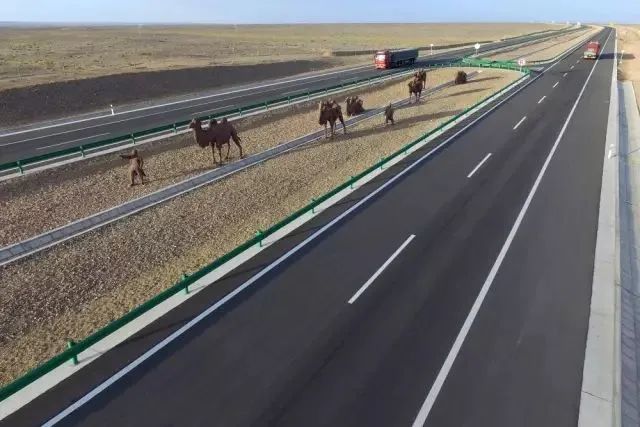 新疆|我亲身经历新疆，见到了别人不知道的真相