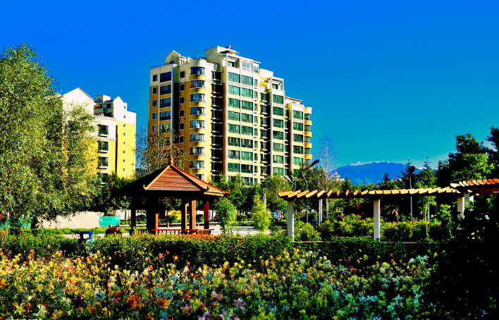 新疆|我亲身经历新疆，见到了别人不知道的真相