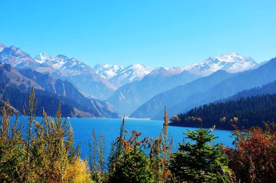 新疆|我亲身经历新疆，见到了别人不知道的真相