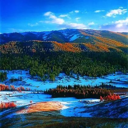 新疆|我亲身经历新疆，见到了别人不知道的真相