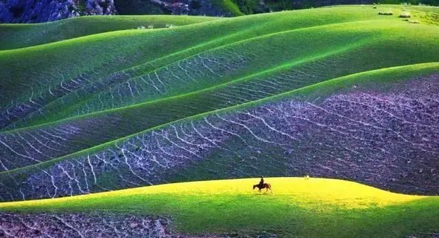 新疆|我亲身经历新疆，见到了别人不知道的真相