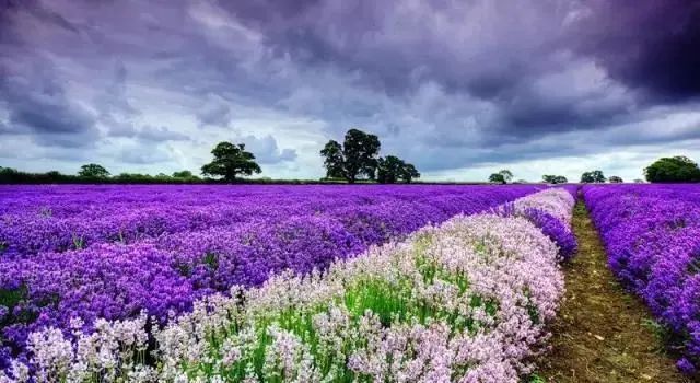 新疆|我亲身经历新疆，见到了别人不知道的真相