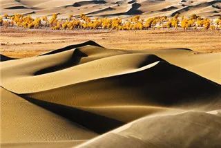 新疆|我亲身经历新疆，见到了别人不知道的真相