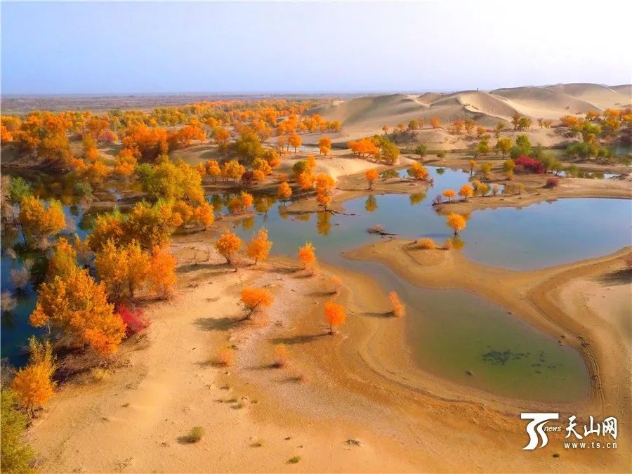 新疆|我亲身经历新疆，见到了别人不知道的真相