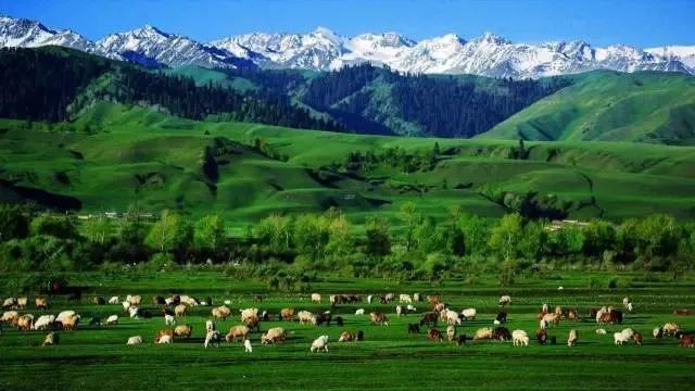 新疆|我亲身经历新疆，见到了别人不知道的真相