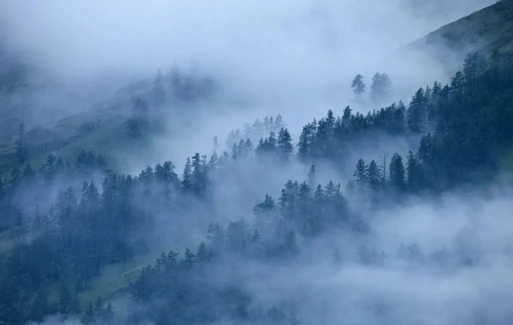 新疆|我亲身经历新疆，见到了别人不知道的真相