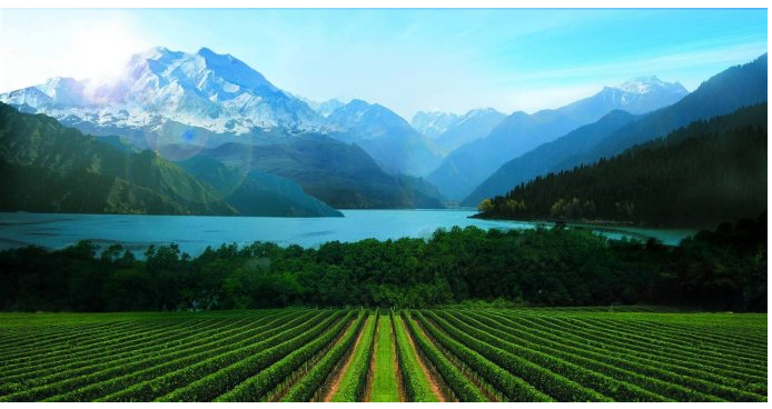 新疆|我亲身经历新疆，见到了别人不知道的真相