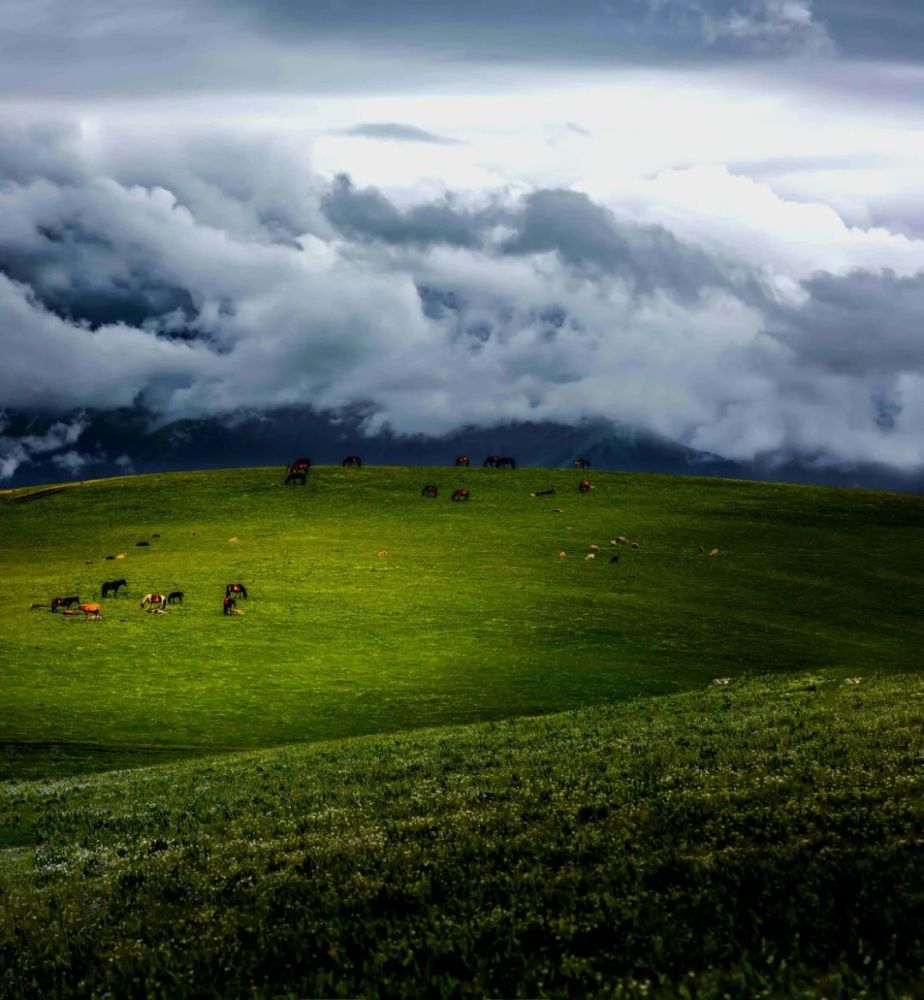 新疆|我亲身经历新疆，见到了别人不知道的真相