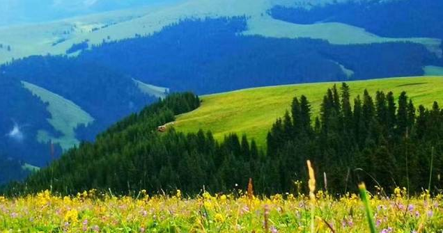 新疆|我亲身经历新疆，见到了别人不知道的真相