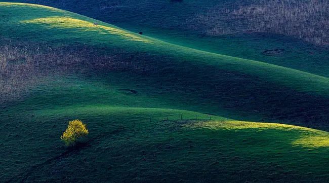 新疆|我亲身经历新疆，见到了别人不知道的真相