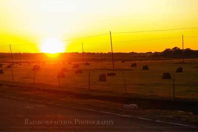 克什克腾旗|北京周边草原自驾，十一克什克腾旗赏秋