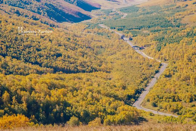 克什克腾旗|北京周边草原自驾，十一克什克腾旗赏秋