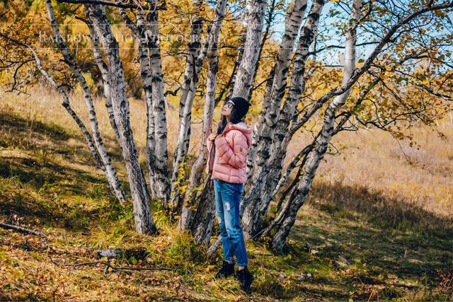 克什克腾旗|北京周边草原自驾，十一克什克腾旗赏秋