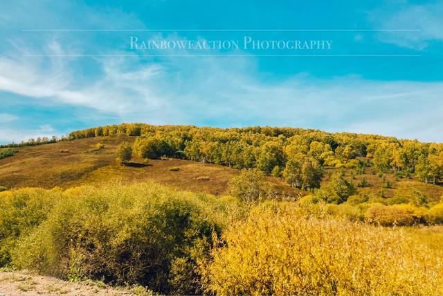 克什克腾旗|北京周边草原自驾，十一克什克腾旗赏秋