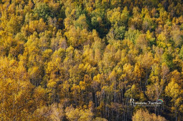 克什克腾旗|北京周边草原自驾，十一克什克腾旗赏秋
