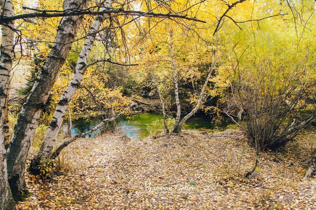 克什克腾旗|北京周边草原自驾，十一克什克腾旗赏秋