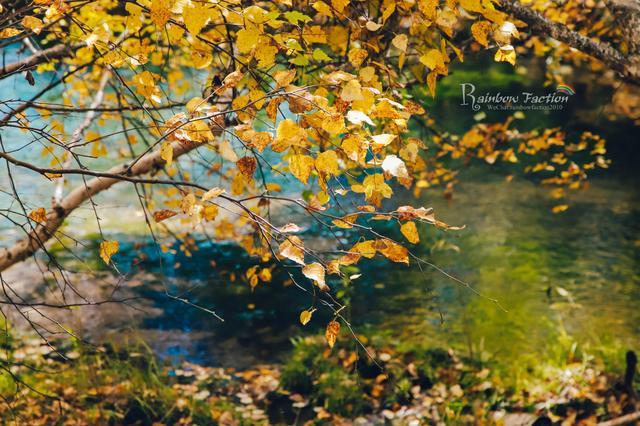 克什克腾旗|北京周边草原自驾，十一克什克腾旗赏秋