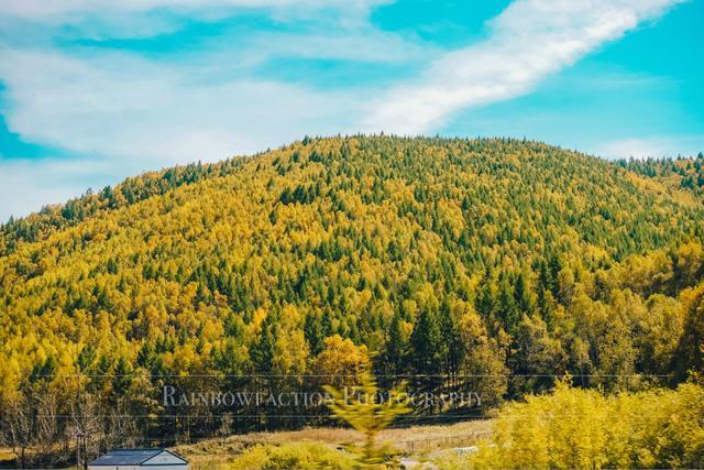 克什克腾旗|北京周边草原自驾，十一克什克腾旗赏秋