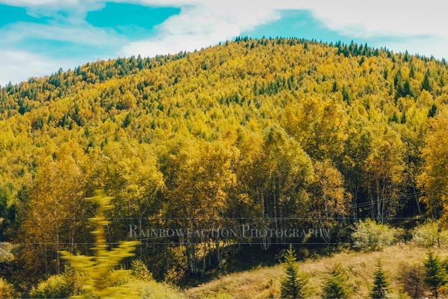 克什克腾旗|北京周边草原自驾，十一克什克腾旗赏秋