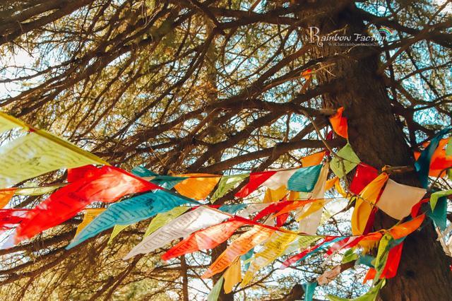 克什克腾旗|北京周边草原自驾，十一克什克腾旗赏秋