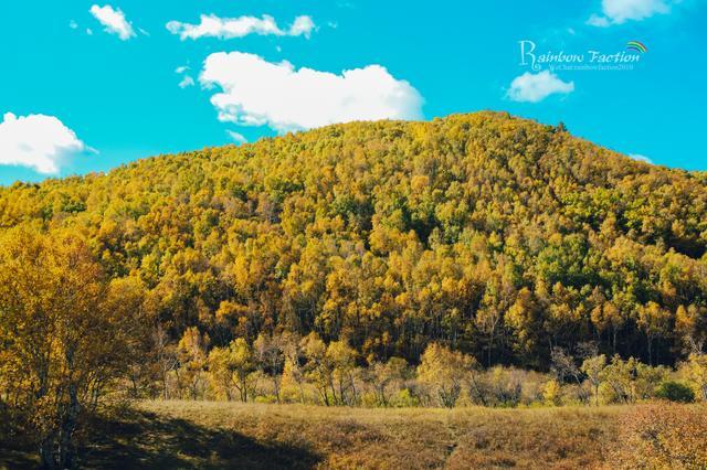 克什克腾旗|北京周边草原自驾，十一克什克腾旗赏秋