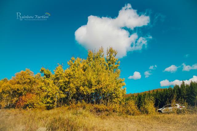 克什克腾旗|北京周边草原自驾，十一克什克腾旗赏秋