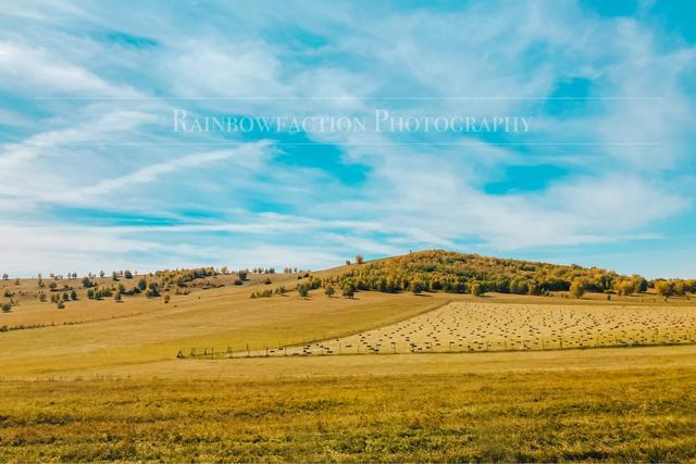 克什克腾旗|北京周边草原自驾，十一克什克腾旗赏秋