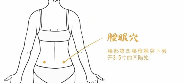 6按摩腰眼穴中医认为,"腰为肾之府",腰部是肾脏所在的重要部位.