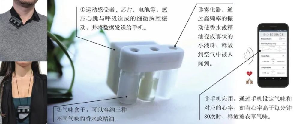 睡眠|操控自己的梦