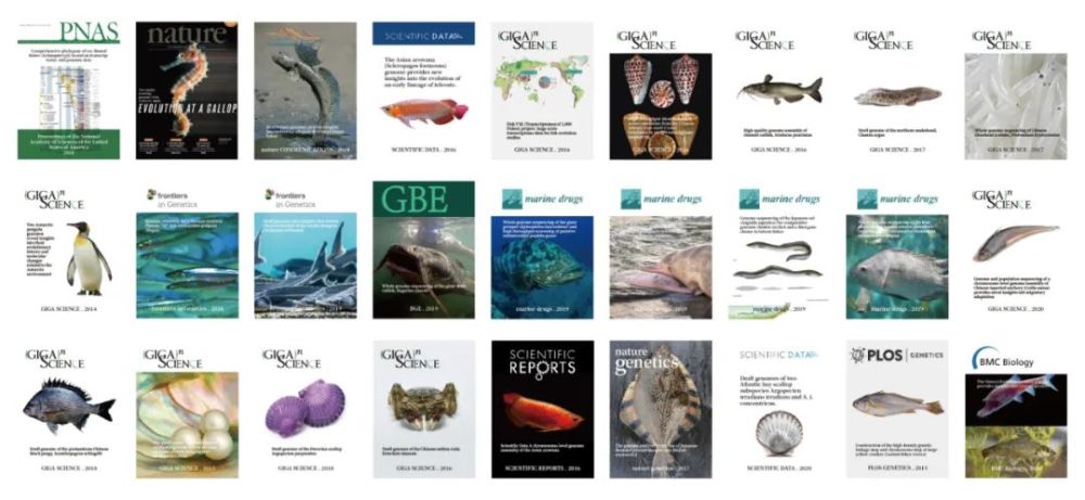 王新文|华大海洋王新文：从蓝色“宝库”中寻找新药