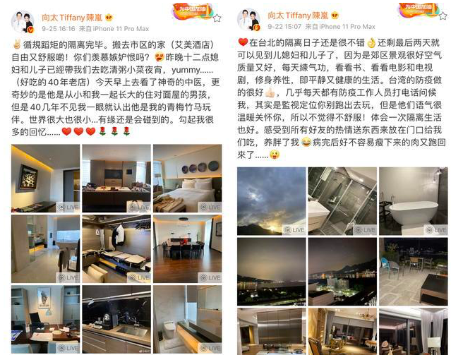 郭碧婷|郭碧婷怀孕饮食健康，向佐带老婆出门喝豆浆，夫妻俩却都不戴婚戒