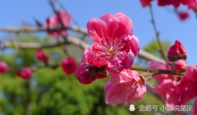 10月1日星座运势峰回路转 好运降临的四大星座 星座运势 星座 水瓶座 狮子座 金牛座 射手座