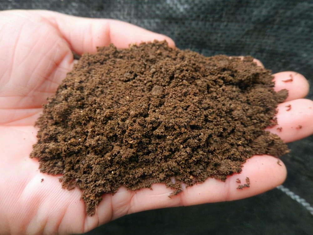 蚯蚓粪是植物生长的法宝,比买的花肥都好,省钱随地捡_腾讯新闻