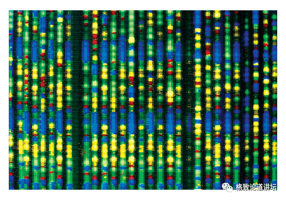 微量元素|我们身体中的这种微量元素，竟来自于宇宙大爆炸？