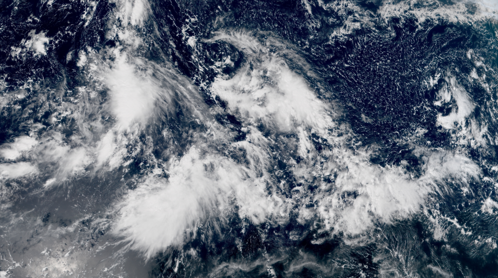 台风|14号台风灿鸿要来了？权威预报：已有迹象，十一长假或影响南海