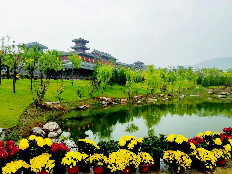 菊花文化节|太原晋祠菊花文化节开幕！上万盆菊花争奇斗艳