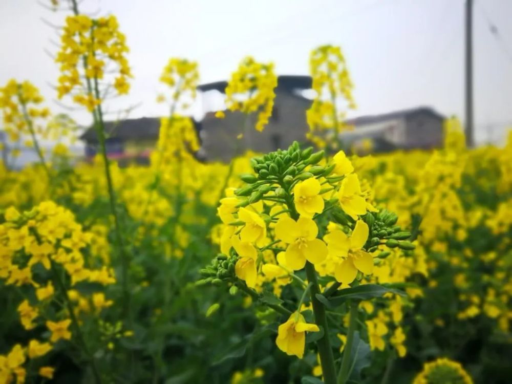 教育部|教育部发文明确“换导师”权利：师生出现矛盾时可解除指导关系