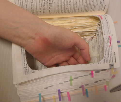 妹子|日本少女挖空字典只为上课偷吃，几万人在网上共同围观她的沙雕生活