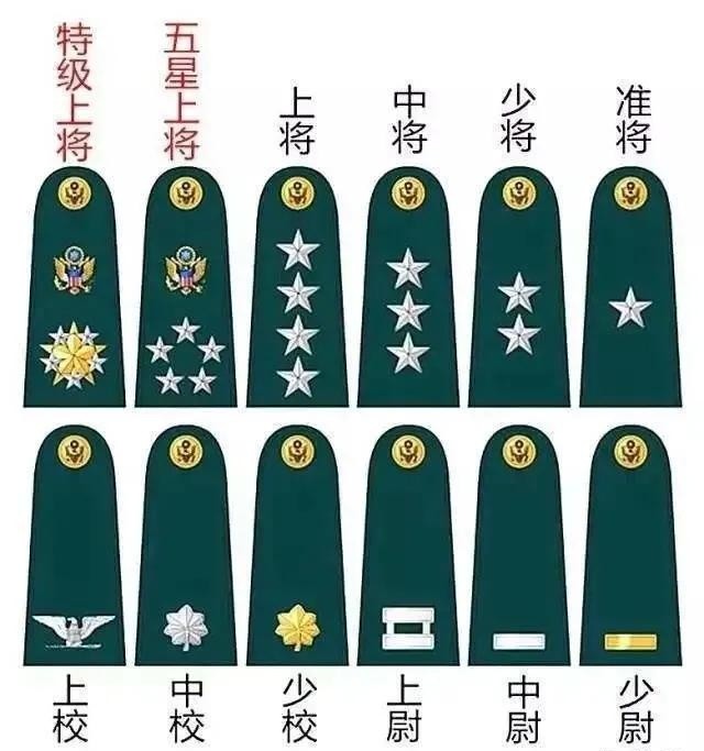 为什么美军校尉级军官军衔图案没有常见的杠和星
