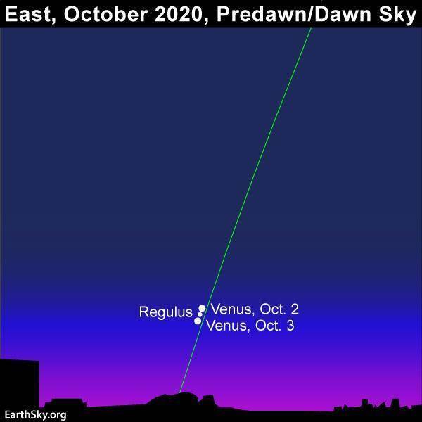 月球|请定好您的闹钟，国庆前几天，东方夜空可赏“火星伴月”天文奇观