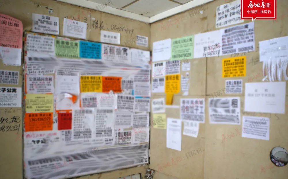 警惕 代理公司跑路 消费者要这样保护自己 腾讯新闻