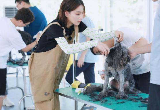 张馨予|张馨予为孕妇发声后现身机场，挎国货背包接地气，军嫂责任心爆棚